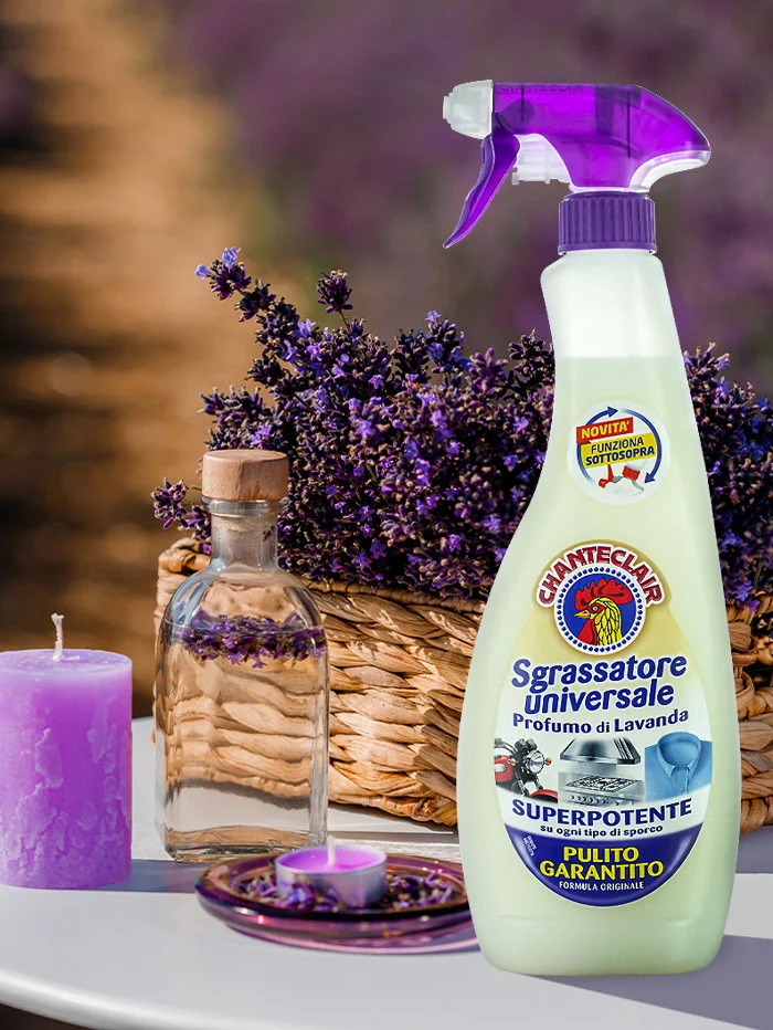 Chante Clair Degresant cu pompa 600 ml Lavanda