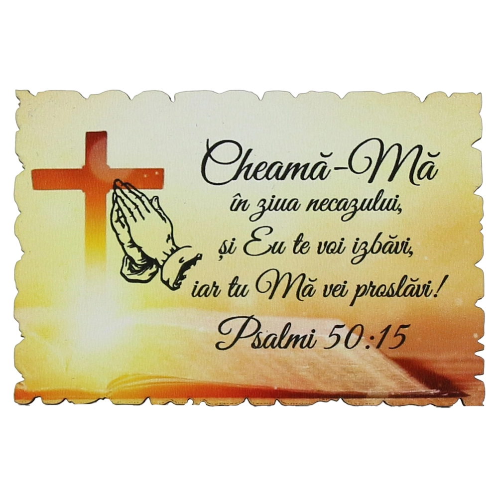 Magnet pentru frigider din lemn MGS048