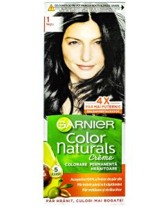 Garnier Vopsea de par Color Naturals 1 Negru