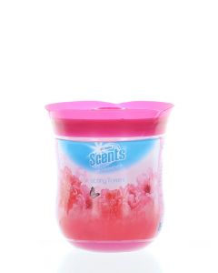 At Home Gel odorizant camera 180 g Spring Flower