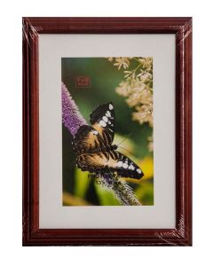 Rama foto lemn 13x18 cm Diverse nuante