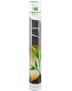 Betisoare parfumate 20buc/cutie Antitabac