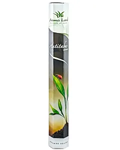 Betisoare parfumate 20buc/cutie Antitabac