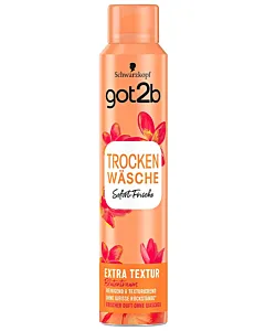 Got2B Sampon Uscat 200 ml Extra Textur