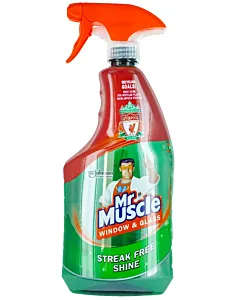 Mr. Muscle Solutie curatat geamuri cu pompa 750 ml