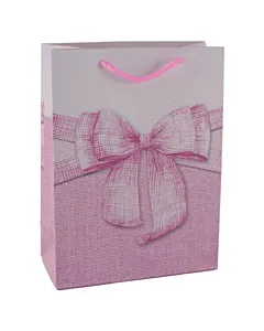 Punga cadou din hartie 18x24 cm (383341) Fundita Diferite culori