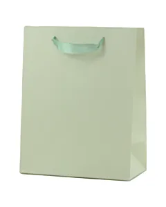 Punga cadou din hartie 18x23 cm (371186) Verde Mat