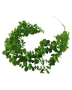 Decor ghirlanda suculent 70 cm verde