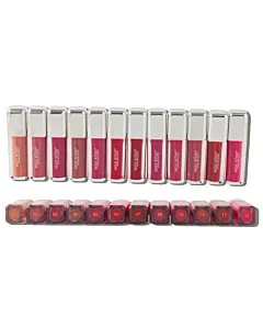 Miss Rose Luciu de buze cu efect hidratant si iluminator Nr.12